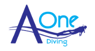 AOne Diving Logo