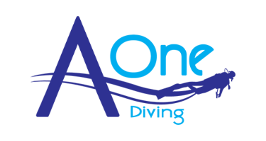 AOne Diving Logo
